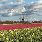 Holiday home Traumblick Nr 3 Aufs Wattenmeer Blick Bis Nach Texel *