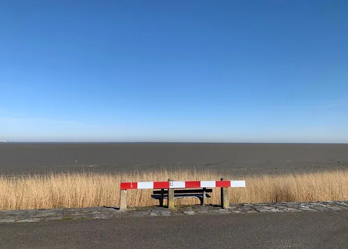 Traumblick Nr 3 Aufs Wattenmeer Blick Bis Nach Texel 펜션