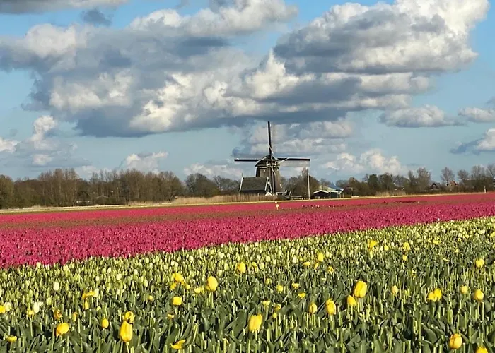 펜션 Traumblick Nr 3 Aufs Wattenmeer Blick Bis Nach Texel *