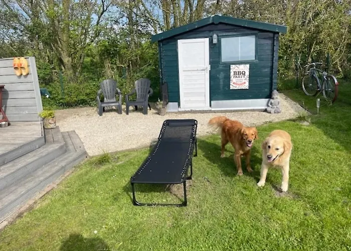 Traumblick Nr 3 Aufs Wattenmeer Blick Bis Nach Texel * Westerland