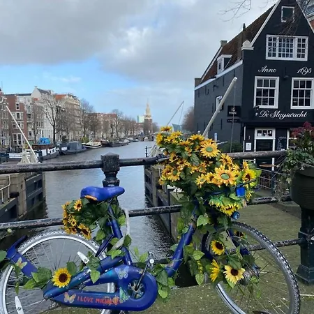 Traumblick Nr 3 Aufs Wattenmeer Blick Bis Nach Texel Prázdninový dům *