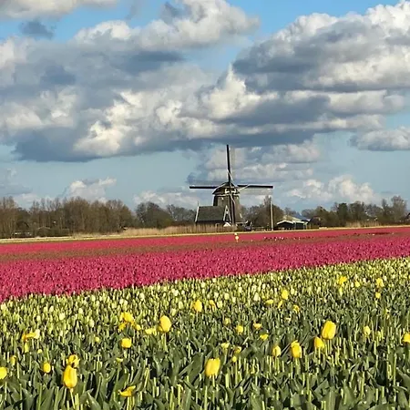 Prázdninový dům Traumblick Nr 3 Aufs Wattenmeer Blick Bis Nach Texel *