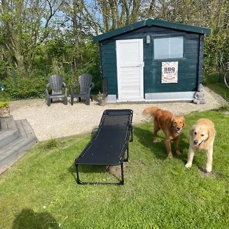 Traumblick Nr 3 Aufs Wattenmeer Blick Bis Nach Texel * Westerland